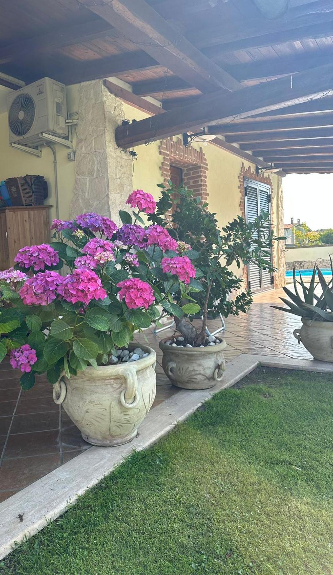 Luxury B&B Resort Anzio Eksteriør bilde