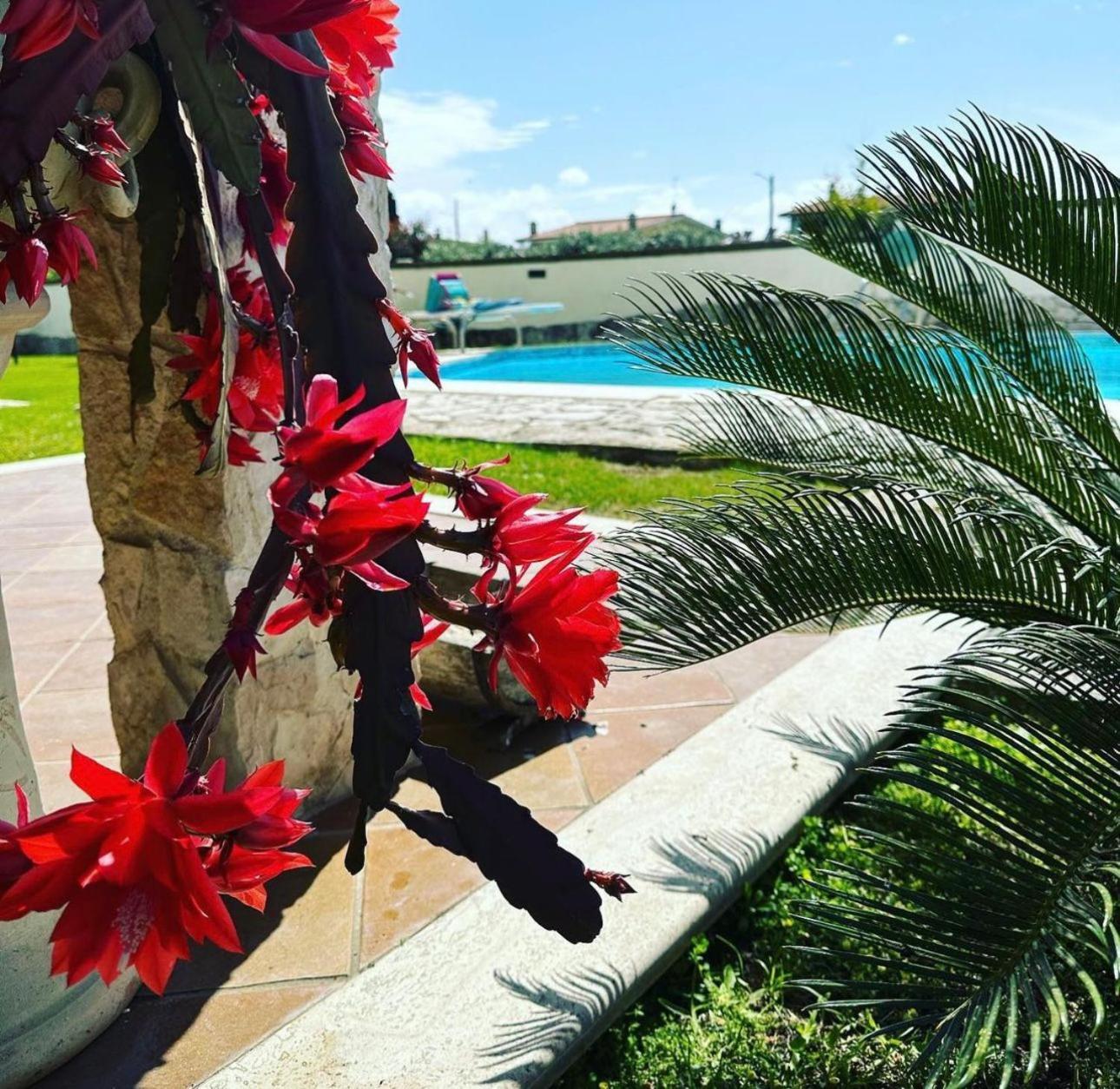 Luxury B&B Resort Anzio Eksteriør bilde