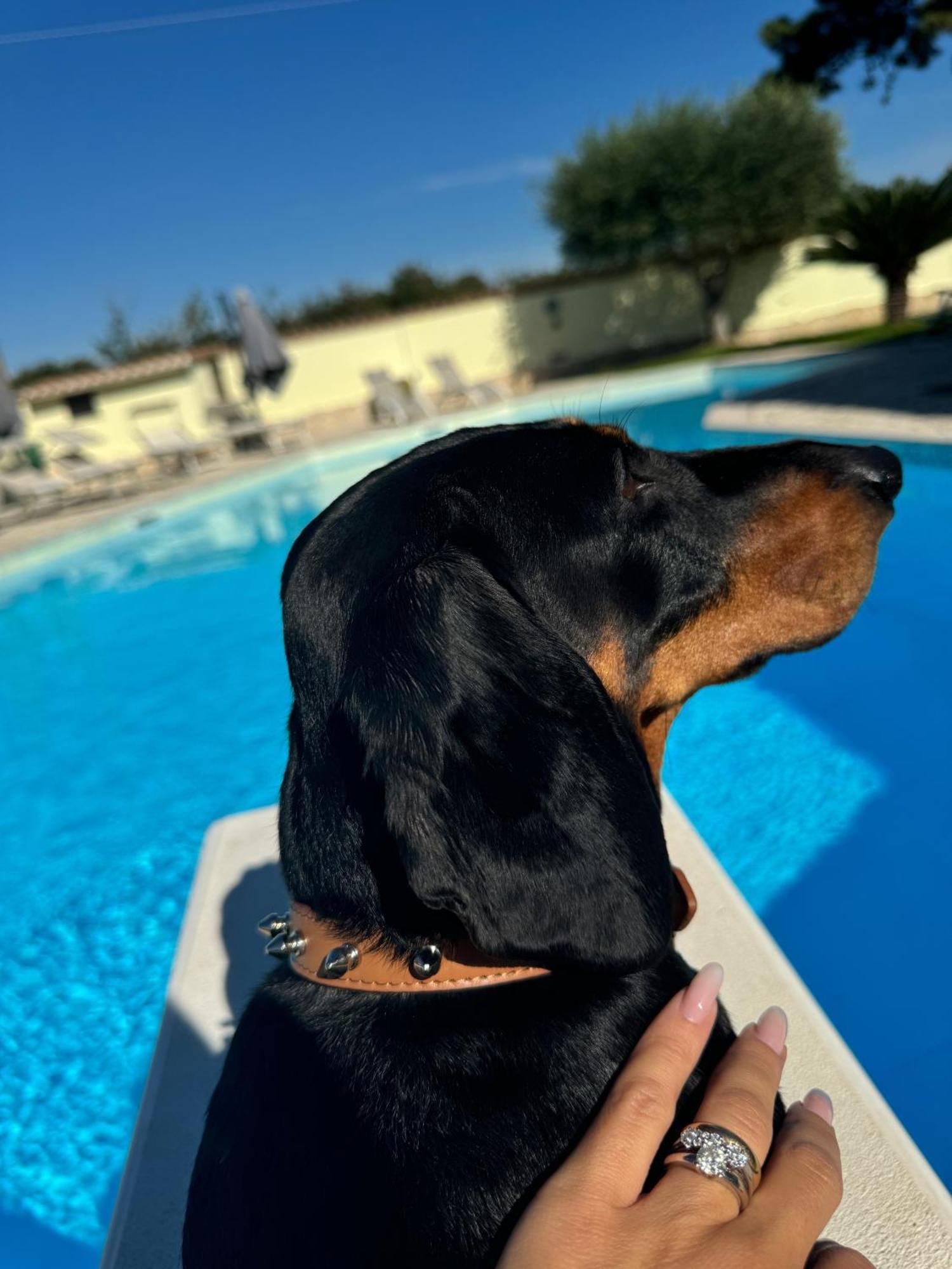 Luxury B&B Resort Anzio Eksteriør bilde