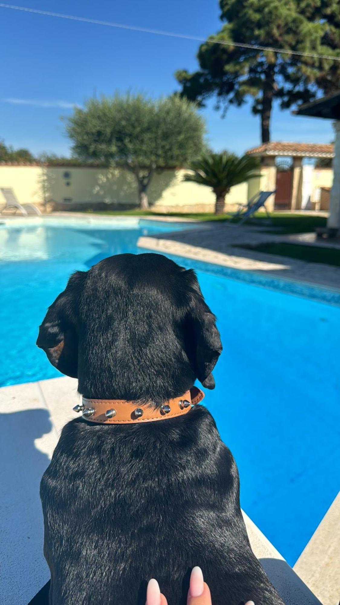 Luxury B&B Resort Anzio Eksteriør bilde